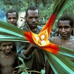 Everyone profits from West Papua except Papuans